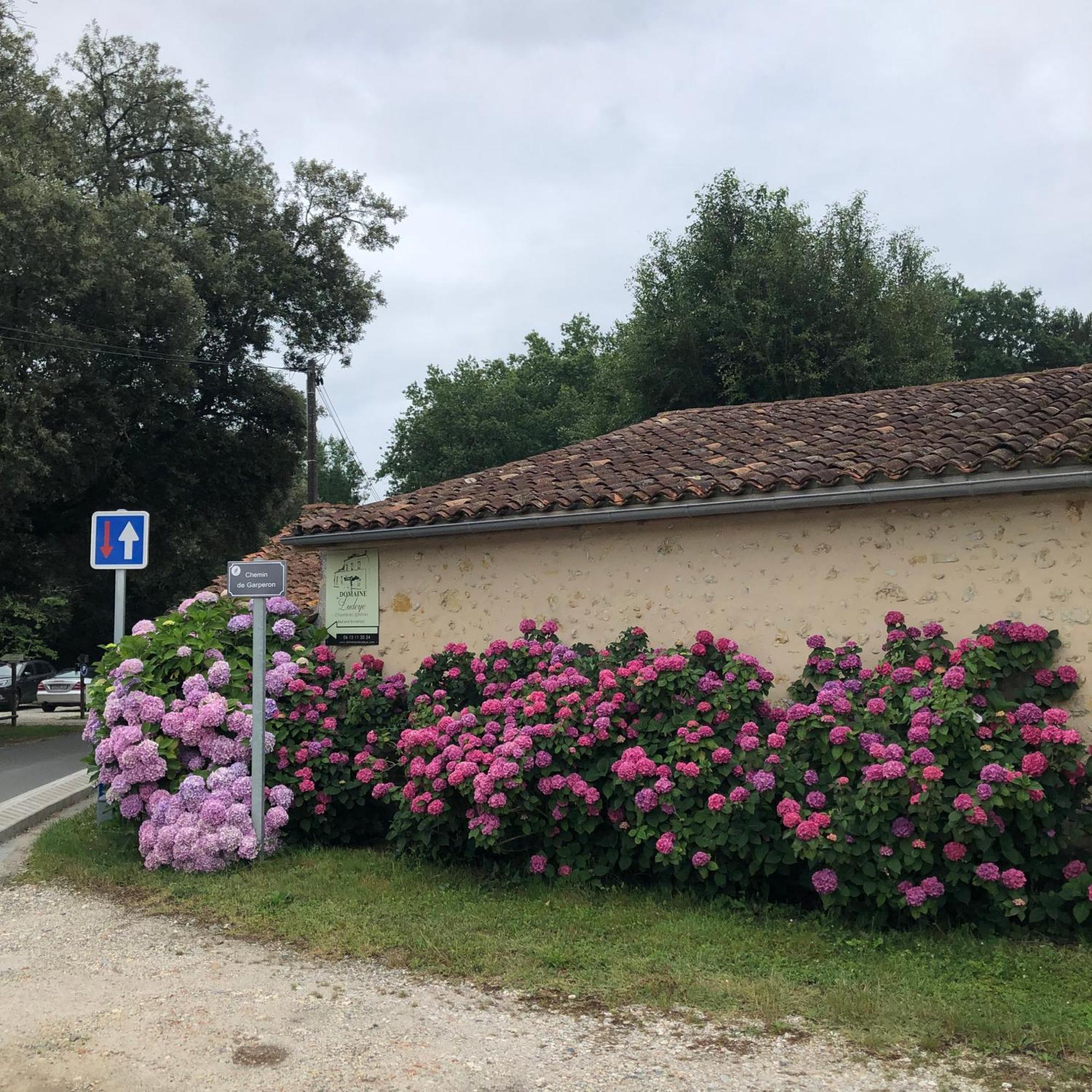 Domaine De Ludeye Hotel Listrac-Médoc Kültér fotó