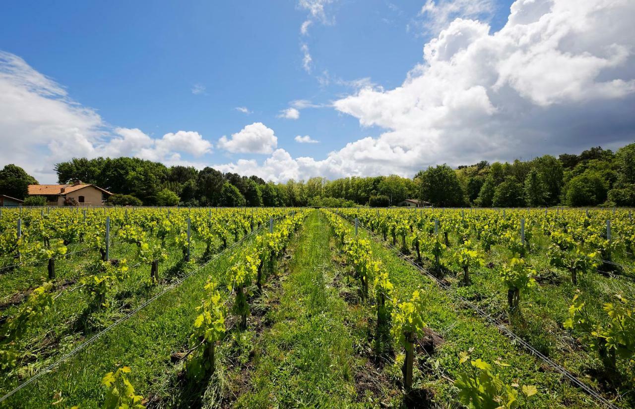 Domaine De Ludeye Hotel Listrac-Médoc Kültér fotó